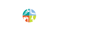 Eastside Orthocare
